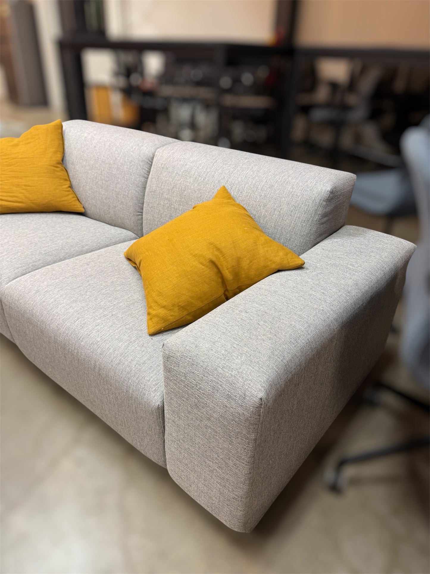 Castlery Todd Grey 2 seater sofa couch