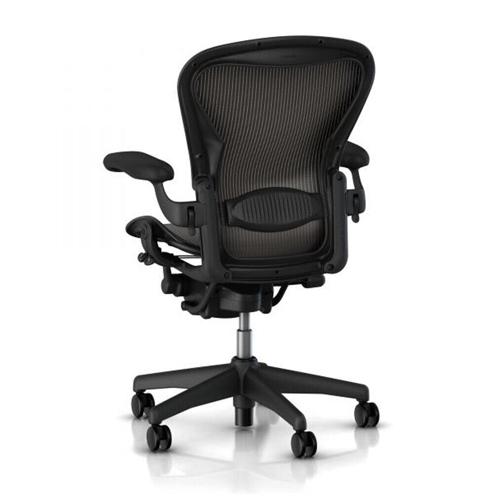 Rear view of Herman Miller Aeron office chair showcasing the lumbar support.